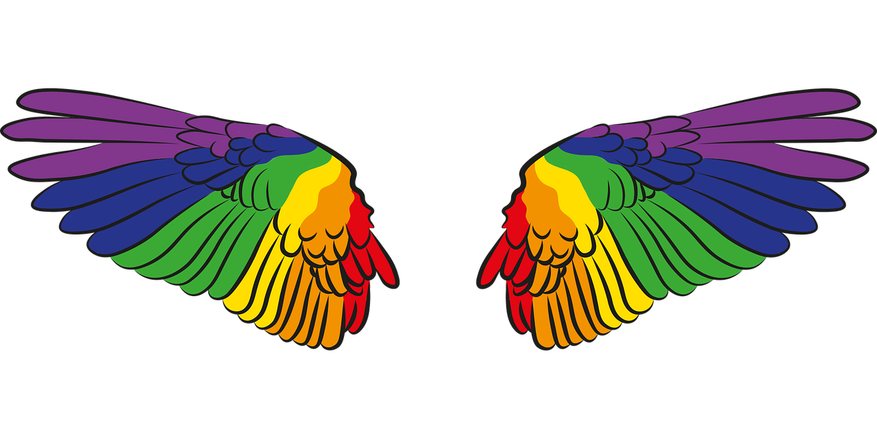 Regenbogenflügel